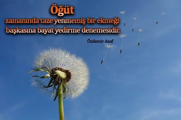 Özdemir Asaf Sözleri - Guzele.com